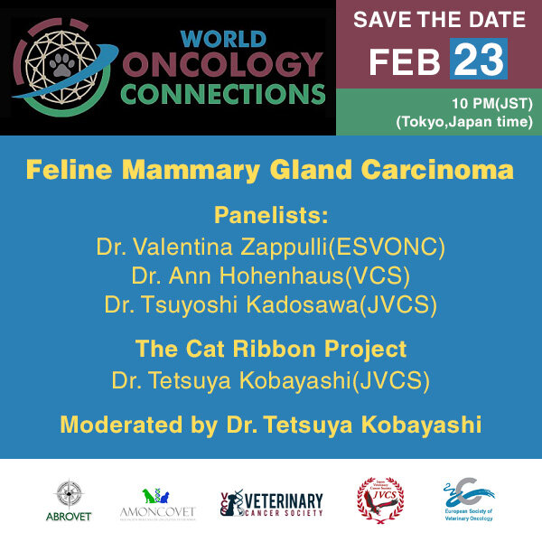 Feline Mammary Gland Carcinoma.jpg