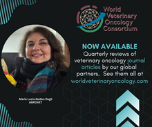 1_ABROVET Q1_w220.png