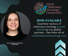 4_AMONCOVET Q1_w220.png