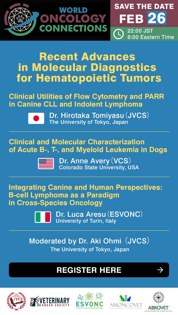 woc17_register_ImageWeb600のサムネイル画像